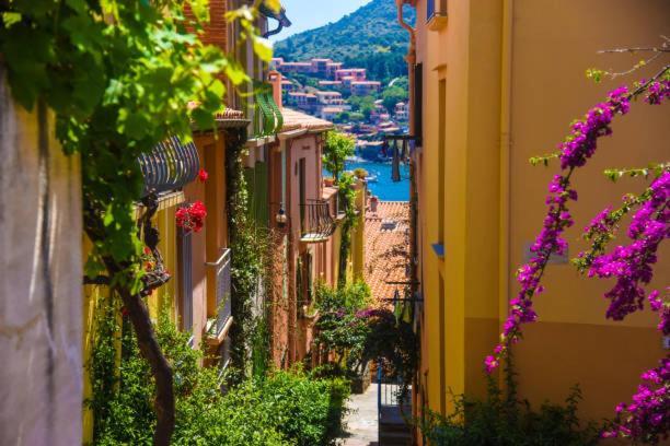 Studio Centre Plage Parking Gratuit Collioure Luaran gambar