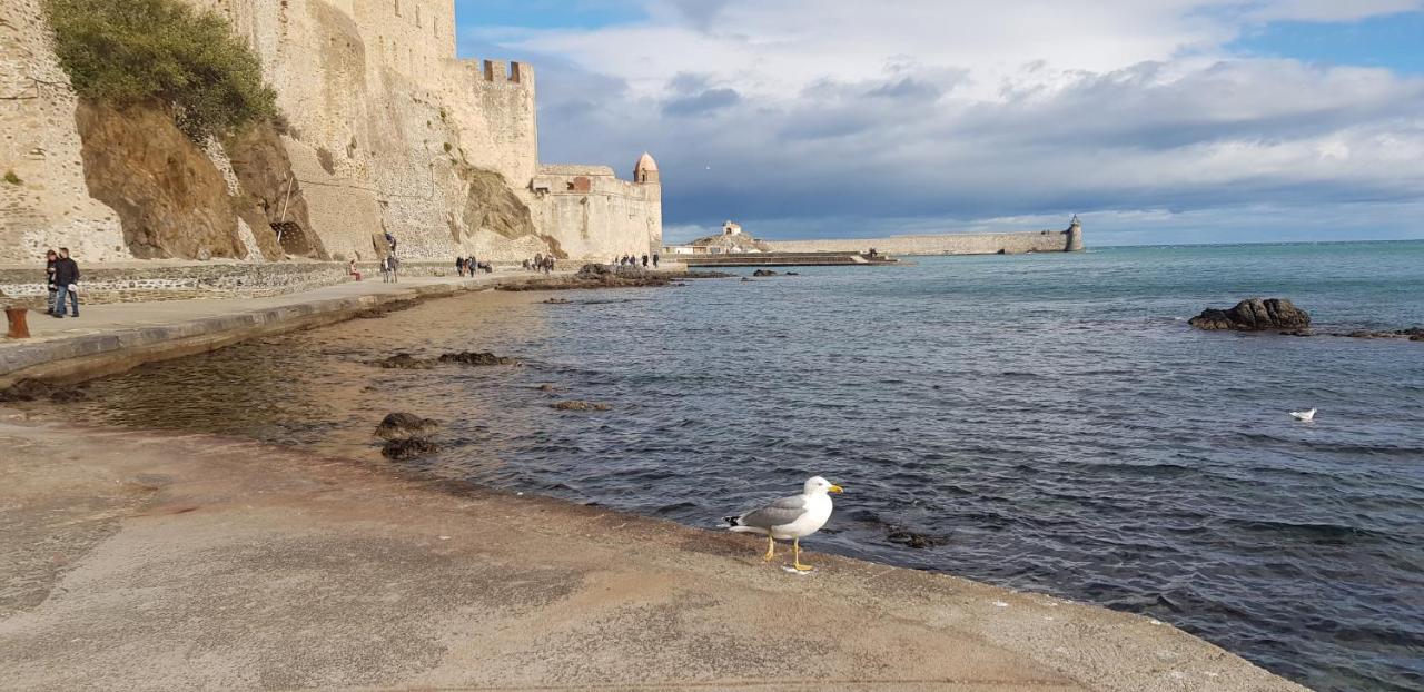 Studio Centre Plage Parking Gratuit Collioure Luaran gambar